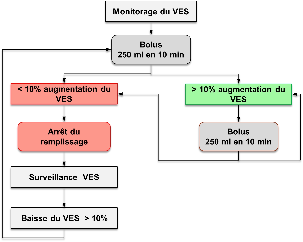 https://gamida.fr/wp-content/uploads/2024/03/schema-page-hemodynamique-avancee.jpg